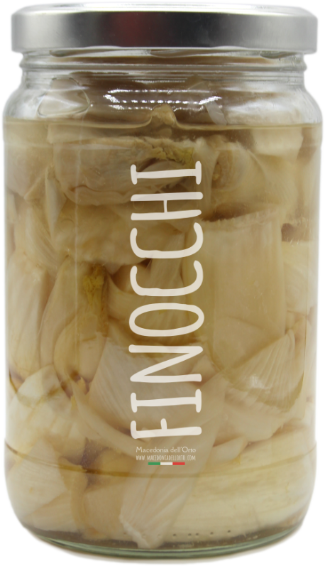 Finocchi